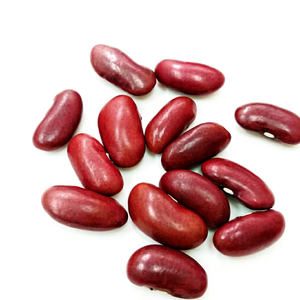 Nueva Cosecha de Frijoles Rojos Rajma de la India, Premium, Secos, con 24 Meses de Vida Útil, a Granel, para Venta al por Mayor Internacional y Procesamiento de Alimentos - Product Image 1