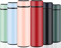 Thermos personnalisé, bouteille d'eau intelligente à isolation sous vide, affichage de la température, infuseur à café et à thé, bouteille d'eau de voyage
