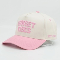 Casquette de baseball sportive bicolore à 5 panneaux avec broderie 3D en relief personnalisée, style streetwear courant