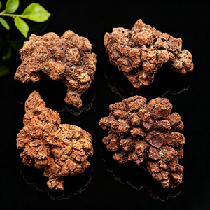 Coprolita Natural en Bruto, Heces de Dinosaurio Fossilizadas, Minerales Crudos, Piedra Mascota de la Tierra - Product Image 6