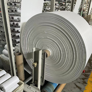 Rouleau de tissu tissé en PP blanc de haute qualité en gros pour l'emballage du riz, du sable, du ciment, des produits chimiques, fabrication de sacs en PP tissé en plastique - Product Image 2