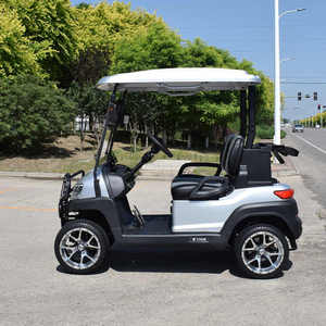 Golf Cart <b>2</b> <b>Passengers</b> High Quality Buggy Customized Motor Acid Battery Controller Lead Color Typ - Product Image 4
