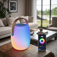Enceintes musicales portables intelligentes avec lampe LED à intensité variable, design moderne, contrôle par application, éclairage musical sans fil