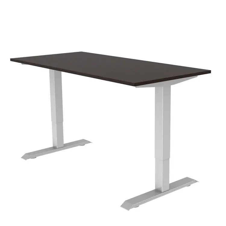 שונים חדש שולחן ארגונומי כפולה מנועים מתכוונן מתכת רגליים חשמלי מושלם שולחן במשרד