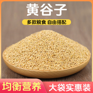 Alimento para Aves de Mijo Amarillo, Forma Redonda, Ecológico, Venta al Por Mayor - Product Image 4