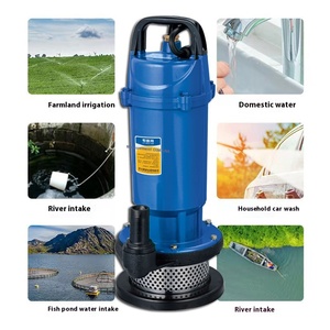 Bán buôn qdx chìm nước thải bơm vít mặt bích Giao diện 1 inch đường kính gang vật liệu cho đất nông nghiệp thủy lợi - Product Image 2