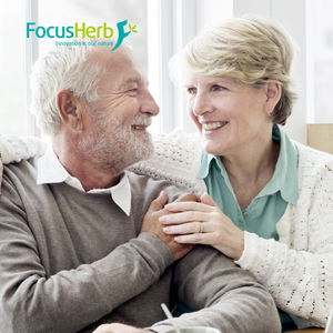 FocusHerb Extracto de ginseng americano Ginsenoside en polvo 80% Ginsenoside - Product Image 4