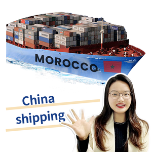 خدمات الوفاء الجوي البحري من الصين إلى المغرب LCL + النقل بالشاحنات دروبشيبينغ وكيل الشحن - Product Image 1
