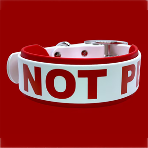 Meistverkauftes Buntes Herz-Geister-Punkt-Bananen-Regenbogen PVC-Wärmeübertragung Individuelles Muster Hundehalsband - Product Image 1