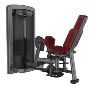 Machine à extensions et flexions de jambes à charge par poulie, entretien facile, structure simple, moins d'éléments d'usure pour une utilisation longue durée en salle de sport - Product Image 1