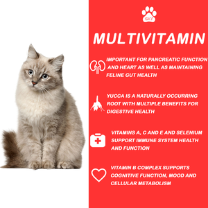 ODM/OEM Marque Privée Vitamine pour Chats Taurine Probiotiques Multivitamines Renforcer l'Immunité, Complément Alimentaire pour Animaux de Compagnie pour la Santé des Animaux - Product Image 3