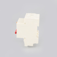 Interruptor Automático Miniatura de 2 Puertos MUTAI, Color Blanco, Proveedor Chino, Alta Capacidad de Interrupción, Protección Residual RCBO PA66
