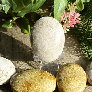 Pierre de palmier naturelle de haute qualité pour la guérison, en corail et jade, pour la décoration intérieure et les cadeaux de Noël (vente en gros) - Product Image 4