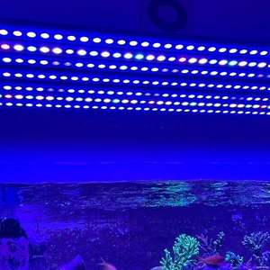WIFI APP Control Dimmable Dual Core 5w Led Aquarium Light 2ft 3ft 4ft 5ftfish tank sunrise sunset marine reef led Aquarium Light - Product Image 6