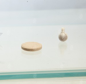 Puro de hierbas de ovario de la atención de la salud <span class=keywords><strong>pastillas</strong></span> matando a las bacterias anti inflamación pélvica - Product Image 6