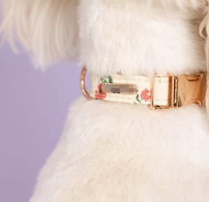 Groothandel TITANCORE Reflecterende Gepersonaliseerde Print Trainingshalsband, -riem en -tuigset voor honden & katten - Product Image 3