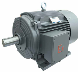 มอเตอร์ 1MT0013 18.5-315KW ป้องกันการระเบิดจากฝุ่นละออง  IP55/IP65  มอเตอร์พัดลมเหนี่ยวนำไฟฟ้ากระแสสลับ 3 เฟส - Product Image 1