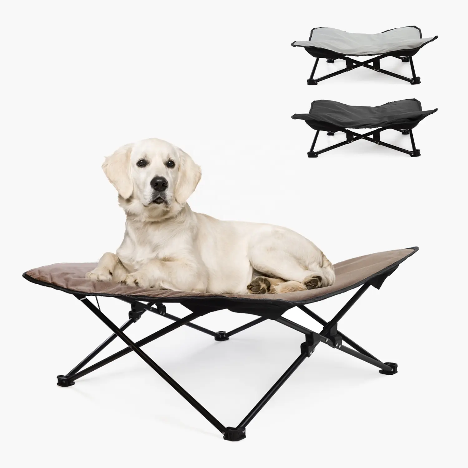 Folding Elevated Dog Bed Indoor Outdoor Pet Camping Raised Cot for Small Medium or Large Dogs