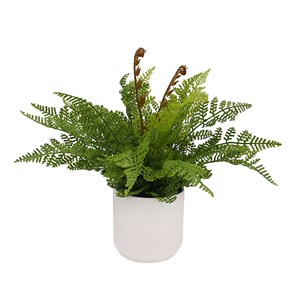 Tizen ต้นพืชเทียมขนาดเล็กกระถางพลาสติกเทียม - Product Image 5