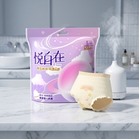 Hyges Einweg-Menstruationshöschen Weiche Atmungsaktive Vliesstoff-Nachthöschen für Frauen Täglicher Gebrauch Modell H06
