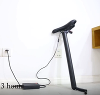 Vélo électrique pliable 36V 250W, 20 pouces, 7 vitesses, batterie lithium, moteur roue arrière, écran LCD pour les trajets urbains