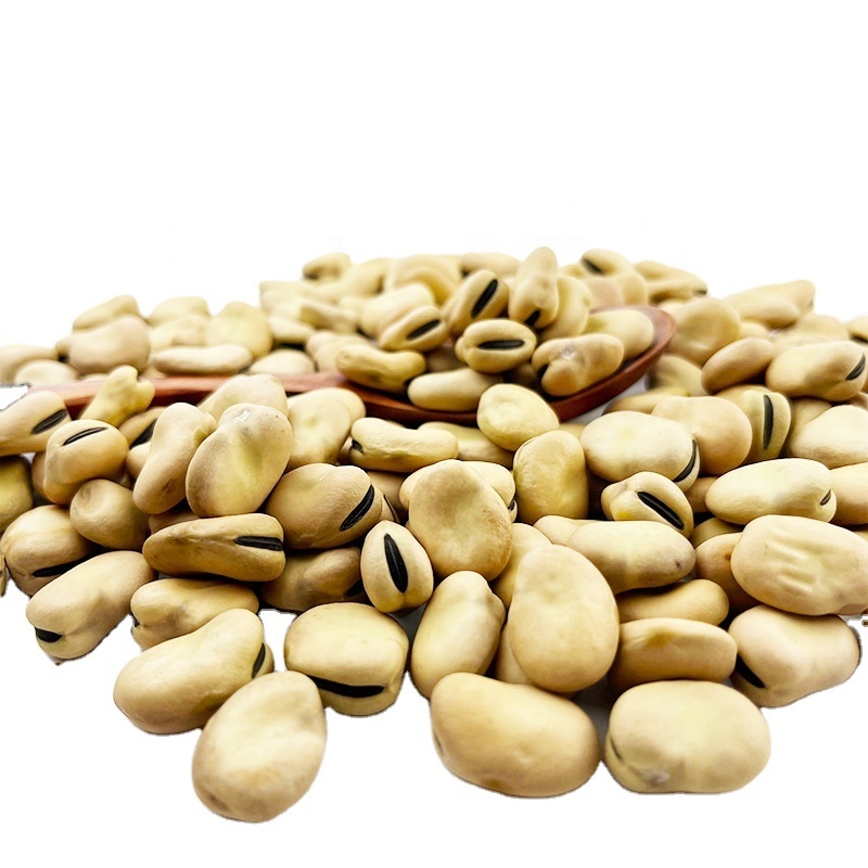 Chinese Large Lima Beans 50 55