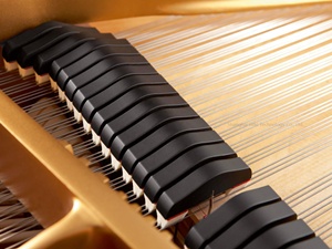 Bébé piano pédale piano - Product Image 4