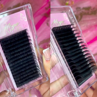 Bulu Mata Ekstensi Soft Faux Mink Russian Volume Fan Tray Custom Private Label 0.03 0.05 Dark Matte Black Easy Fan Lash Extension
