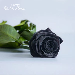 وصل حديثًا زهور زهرة طويلة وحافظة على جذع طويل وورود أوستن محفوظة بلمسة حقيقية لتزيين ترتيب الزهور - Product Image 6