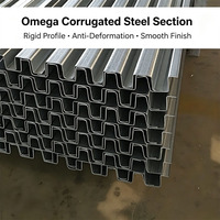 Perfil de Acero Omega Personalizado, Laminado en Frío, Resistente, para Techos de Invernaderos Agrícolas Solares y Refuerzo de Puentes