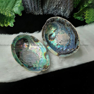 Wholesale Abalon Shells Decoration Polished Abalone Shell