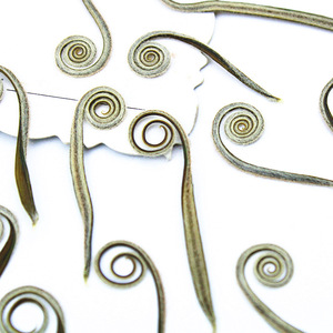 Bán buôn ép khô cycad lá cho nhựa trường hợp điện thoại trang trí nội thất cổ điển scrapbooking nhựa nghệ thuật - Product Image 3