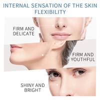 Appareil de beauté de bureau à micro-courant japonais pour le raffermissement du visage, anti-âge, remodelage, amélioration de la conductivité thermique, amélioration AU
