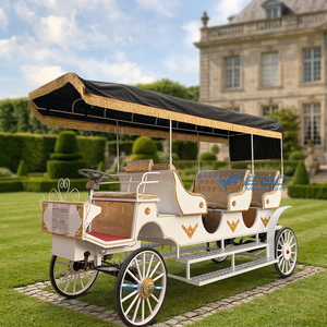Fabricant de calèches royales de luxe, calèche touristique spéciale, calèche américaine Queen, calèche de tourisme - Product Image 1