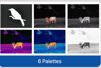 Monoculaire thermique InfiRay T2Pro pour la chasse en plein air, détecteur de vision nocturne, pointeur laser, caméra thermique infrarouge, Wi-Fi mobile