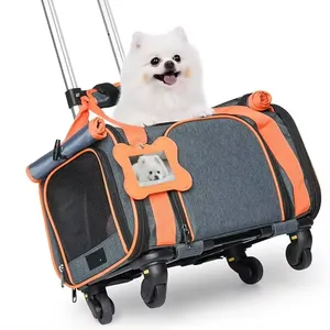 Pet trasportino con ruote Pet Carrier approvato dalla compagnia aerea cani di piccola taglia e gatti cucciolo fino a 16 libbre di compagnia aerea approvato trasportino