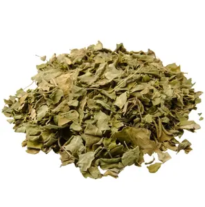 Supply High Quality moringa leaves Free Sample Best Price moringa leaves on sale