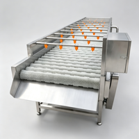 Commerciële 304 roestvrijstalen borstelwasmachine Automatische fruit- en groentewasmachine voor aardappel, wortel, appel, citrusvruchten