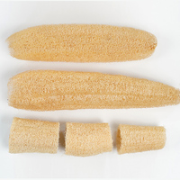 Luffa éponge de nettoyage nettoyage en profondeur et exfoliant produits naturels réutilisable 100% naturel bio luffa cuisine propre brosse