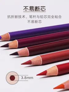 Ensemble de crayons de couleur en bois professionnel personnalisé pour artiste