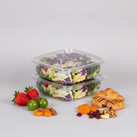Contenitori in Plastica Personalizzati con Coperchio a Cerniera per Frutta e Verdura Fresca, Vaschette per Insalata e Confezionamento Alimenti