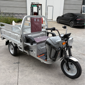 Camion de cargaison de <span class=keywords><strong>tricycle</strong></span> électrique en acier de qualité supérieure-Haute charge et léger pour un transport de marchandises efficace - Product Image 1
