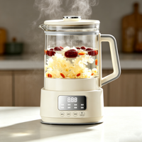 Bouilloire Électrique Multifonctionnelle de Haute Qualité 1,3 L pour Faire Bouillir de l'Eau et Infuser du Thé, Pot en Verre Borosilicate Haute Résistance