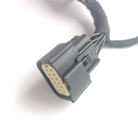Kabel Konektor Tahan Air Molex 33482 33472 Dua Baris 12p dengan Kawat Tembaga Fleksibel Tinggi, Kabel Harness Mobil Kustom OEM