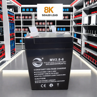 Aanbieding Van De Fabrikant 6v2.8ah Agm Oplaadbare Loodzuurbatterij Voor Elektrische Muggen Swatters Bureaulampen