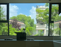 Ventanas de Vidrio Templado de Aleación de Aluminio Negro de Alta Resistencia a Impactos y Huracanes NFRC US, Diseño Moderno Insonorizado