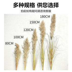 Bouquet de roseaux artificiels de 30 à 100 cm, plantes décoratives d'intérieur hautement réalistes pour la maison et les accessoires de photographie - Product Image 2