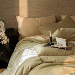 Copripiumino in Cotone a Fibra Lunga 100% di Alta Qualità, Semplice, a Doppio Strato, Quattro Pezzi, per Autunno e Inverno - Product Image 2