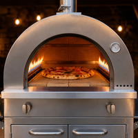 Four à pizza au gaz extérieur en acier inoxydable robuste, four à pizza mobile professionnel, four à pizza commercial pour restaurant