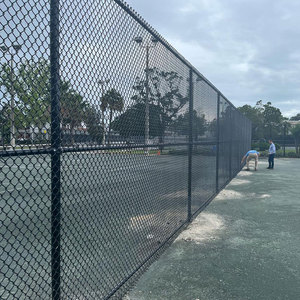 Trung quốc sản xuất giá rẻ dây lưới PVC Chuỗi liên kết hàng rào Bảng điều chỉnh kim cương Net hàng rào - Product Image 4